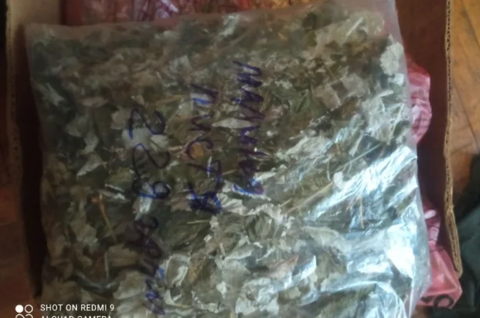 Лікарскі Рослини- фото № 13