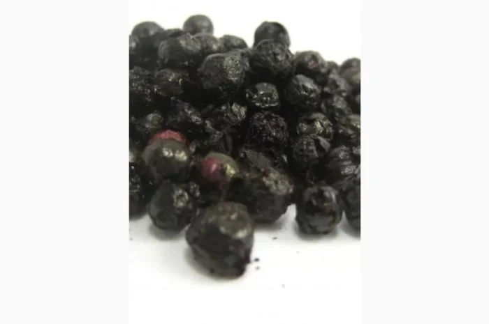 Закупаем Сухую ягоду бузины.- фото № 1