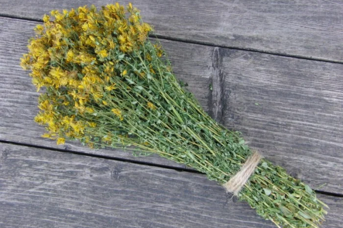 Куплю траву звіробою- фото № 1