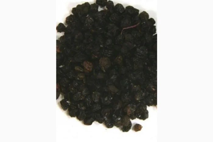 Купим сухую ягоду бузины- фото № 1