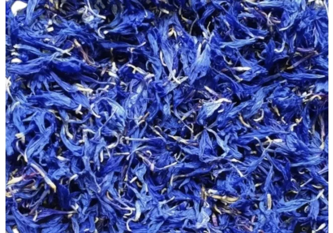 Куплю сушені пелюстки волошки- фото № 1