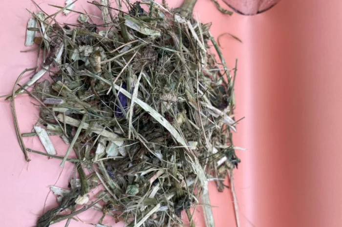 Куплю Лікарські Рослини- фото № 2