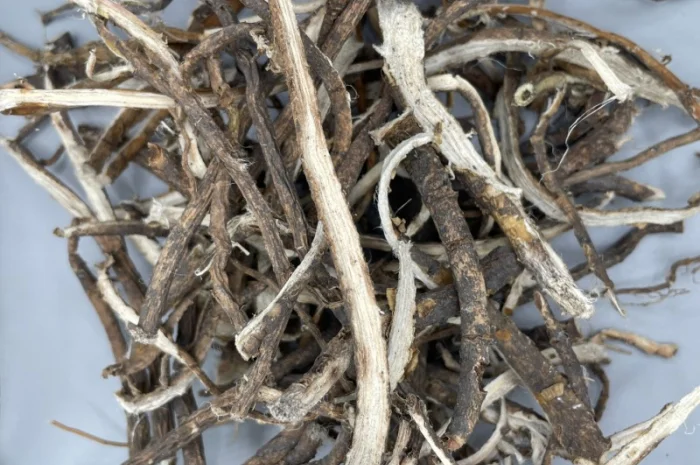 Куплю Лікарські Рослини- фото № 3