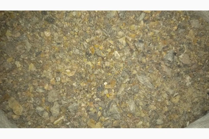 Продам живицю ялову суху( смерека)- фото № 3