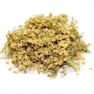 Куплю сушеный цвет бузины оптом- фото № 1