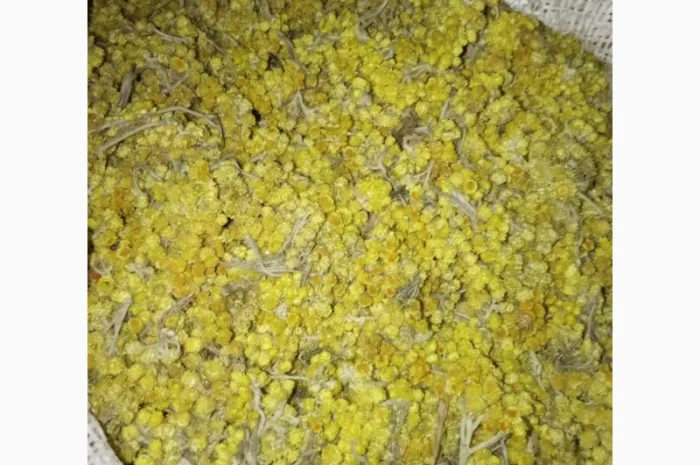 Продам оптом лікарські рослини від 1т- фото № 2