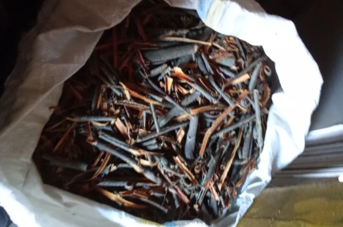 Продам оптом лікарські рослини від 1т- фото № 6