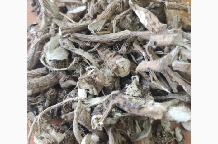 Куплю коріння- фото № 1