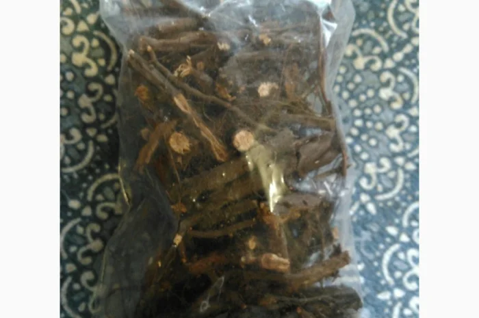 Лапчатка белая - корень- фото № 2