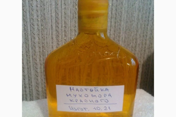 Мухомор красный -настойка- фото № 1