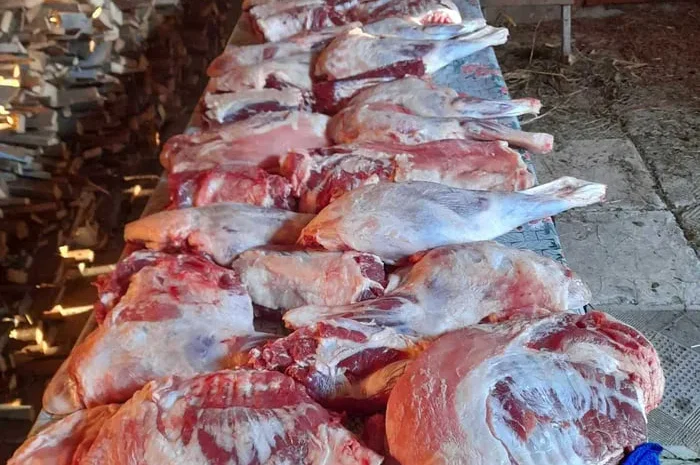 Продается ягнятина с натуральным кормом- фото № 1