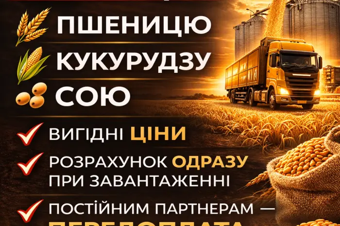 Купуємо зерно з поля та господарства- фото № 1