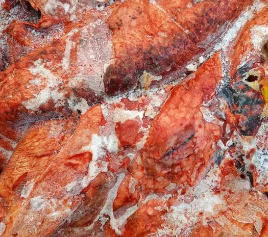 Субпродукти. Легені кінські та яловичі- фото № 1