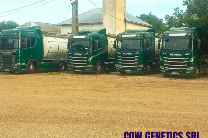 Закупівля пастеризованого молока в великих об'ємах від партнера з Румунії- фото № 3