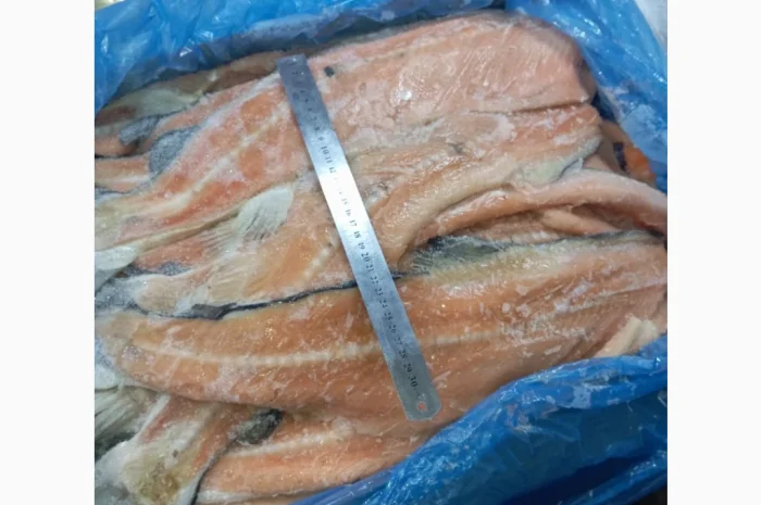 Продается хребет лосося по 70 грн за кг- фото № 1
