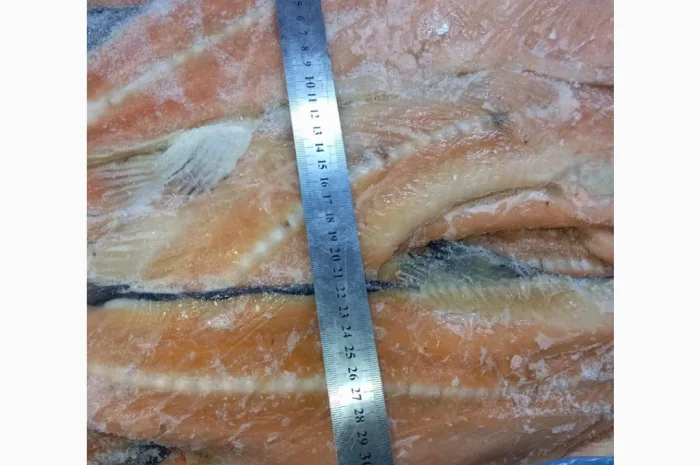 Продается хребет лосося по 70 грн за кг- фото № 2