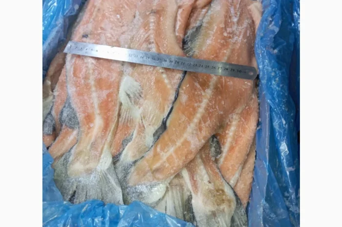 Продается хребет лосося по 70 грн за кг- фото № 3