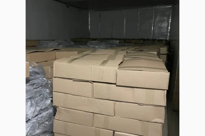 Свежемороженая хамса из Грузии- фото № 1