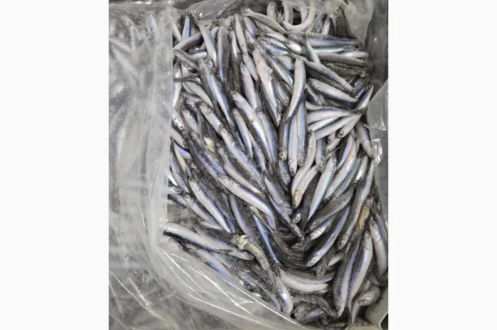 Продажа хамсы оптом- фото № 1