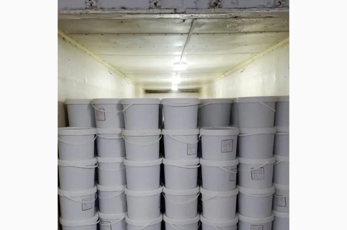 Продажа Черноморской Хамсы- фото № 3