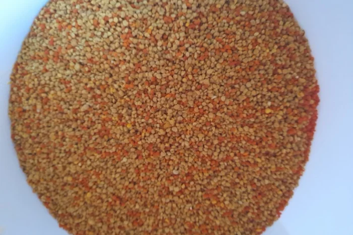 Пчелиная пыльца 2025 года сбора- фото № 1