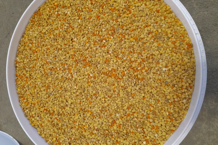 Пчелиная пыльца 2025 года сбора- фото № 3