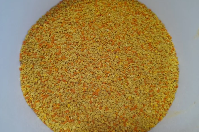 Пчелиный pollen 2025 года сбора- фото № 1