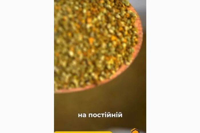 Купуємо натуральний бджолиний пилок оптом- фото № 1