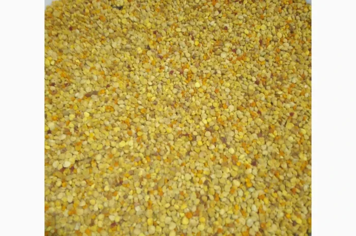 Продается натуральный пчелиный пыльца- фото № 1