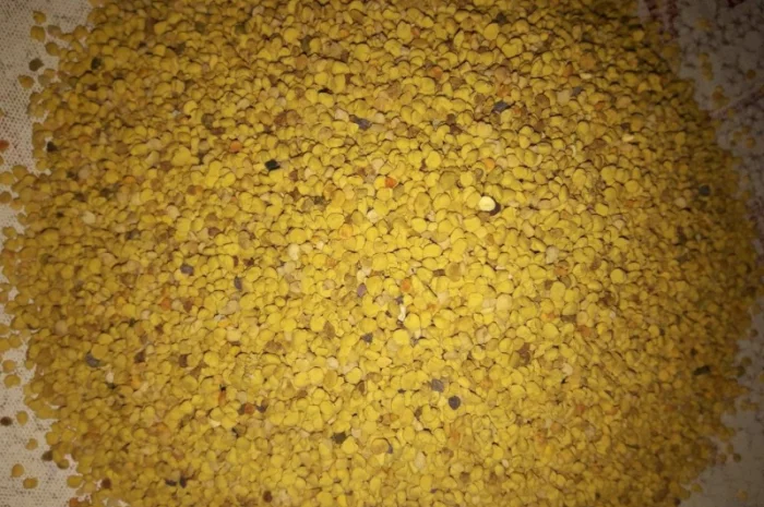 Продается пыльца пчелиная- фото № 1