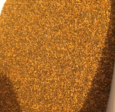 Закупаем цветочную пыльцу оптом- фото № 1