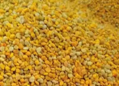 Квітковий пилок – 100 кг у продажу- фото № 3