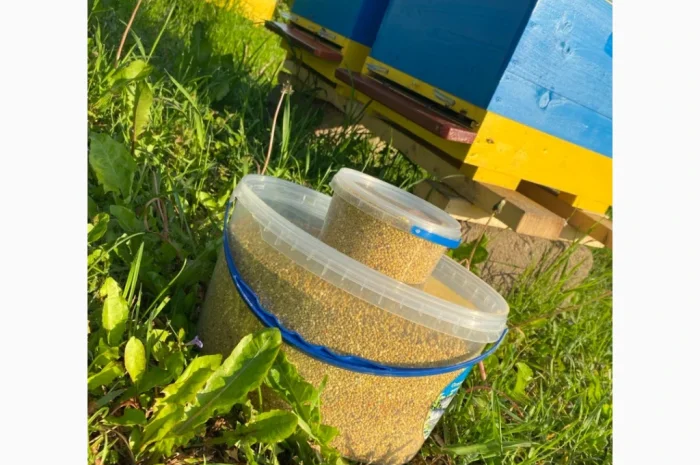 Пропонується бджолиний пилок від Медович- фото № 3