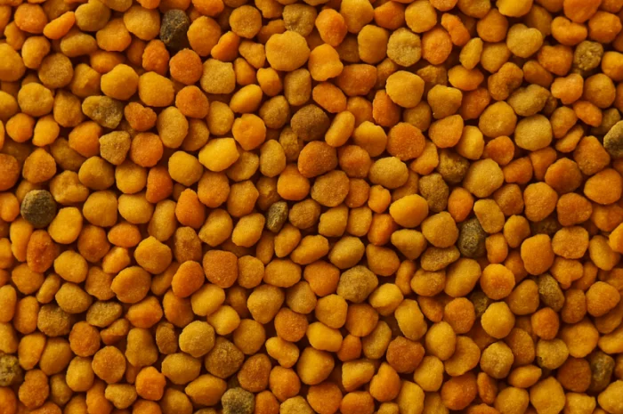 Продается пчелиный пилок 2025 года сбора- фото № 1