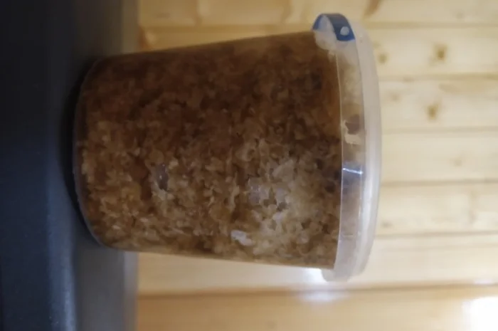 Забрусный мед высокого качества- фото № 1