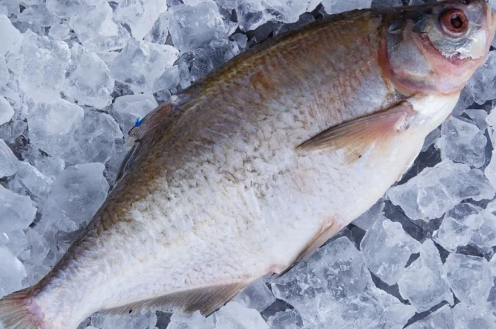 Куплю ляща и другую рыбу- фото № 1