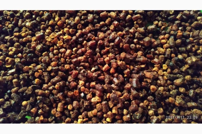 Куплю пергу и пилок цветков- фото № 1