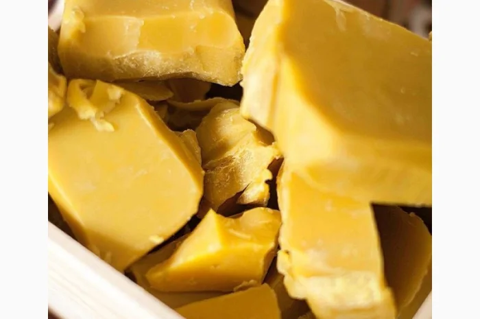 Куплю пчелиный воск- фото № 1