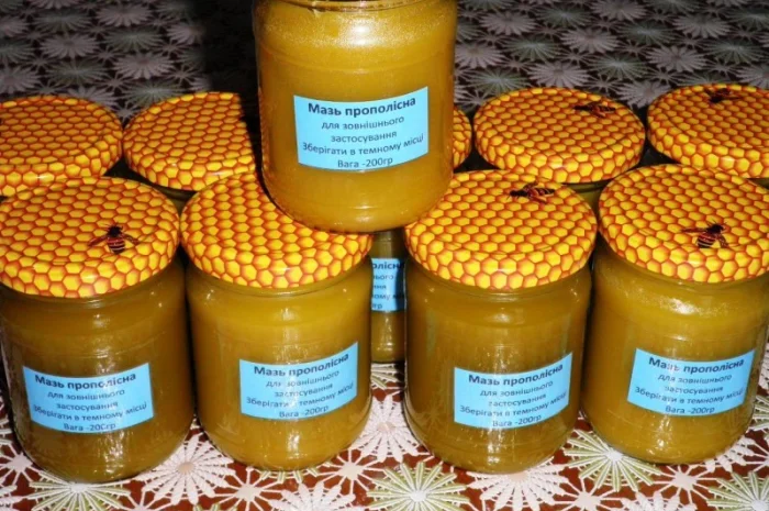 Прополисная мазь для лечения кожных заболеваний- фото № 1