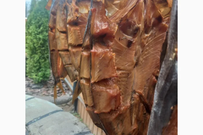 Товстолоб холодного копчения- фото № 1