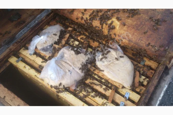 Сахарная пудра для пчёл. Канди для медовухи- фото № 2