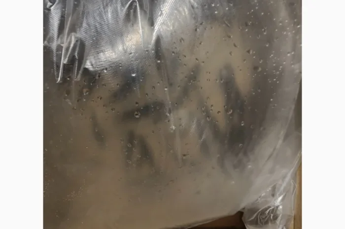 Американский окунь для рыбалки- фото № 2