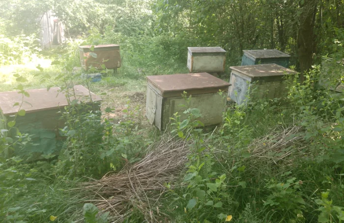 Ульї для бджіл б/у, 4 штуки у продажу- фото № 2