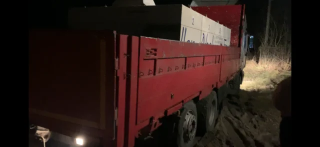 Зарибок коропа в Луцке- фото № 1