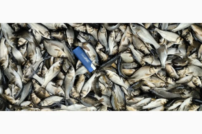 Мальок Короп на продаж- фото № 1