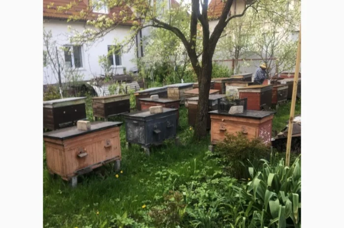 Продается оборудование для пасеки б/у- фото № 1