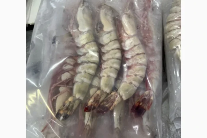 Спеціальна пропозиція - Заморожена Піламида- фото № 11