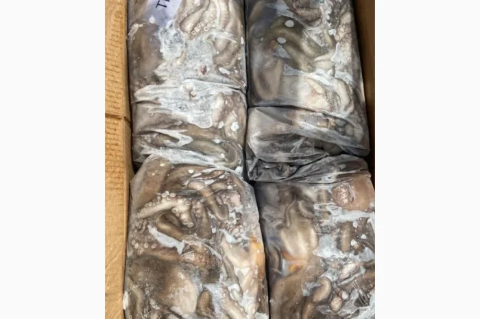 Спеціальна пропозиція - Заморожена Піламида- фото № 4