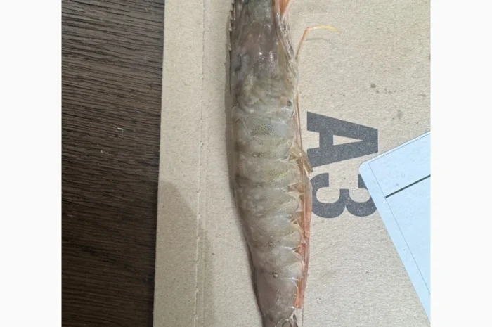 Спеціальна пропозиція - Заморожена Піламида- фото № 6