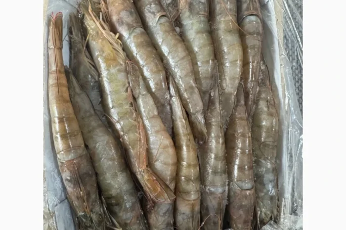 Оптовий постачальник морепродуктів з Мавританії, порт Нуадаїбу- фото № 7